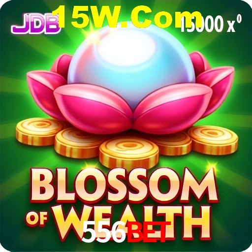 Interface Premium 556Bet